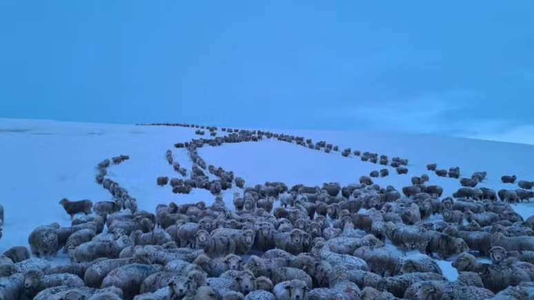 Frio extremo na Patag&ocirc;nia n&atilde;o &eacute; comum