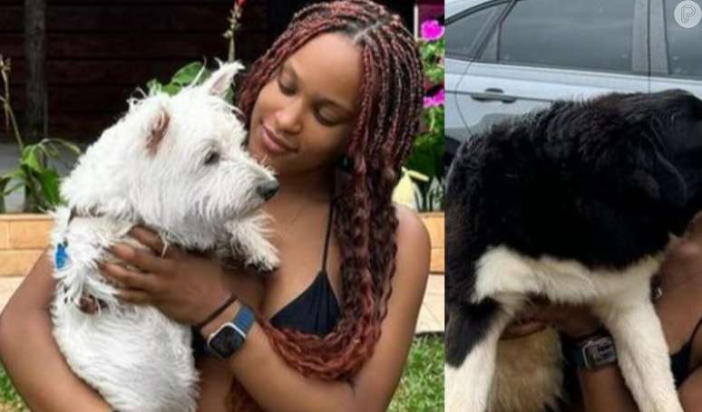 Medalista e mãe de pet! Conheça Snow e Aslan, cachorros de Rebeca Andrade que 'vão querer comer' prata e bronze da ginasta.