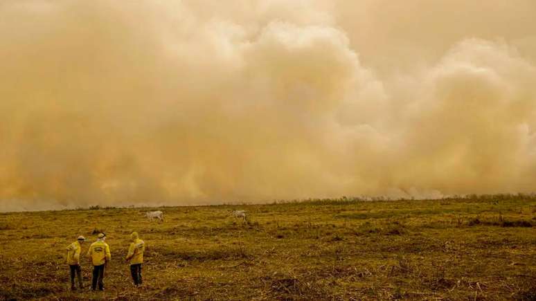 Incêndio atingiu mais de 61 mil hectares do bioma nos últimos 4 dias