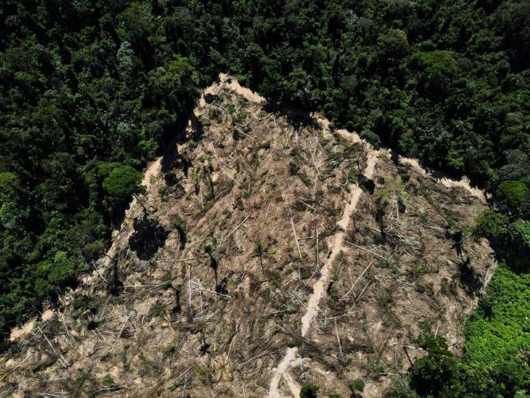 Imagem aérea de trecho desmatado da floresta amazônica no Pará
14/07/2021
REUTERS/Bruno Kelly