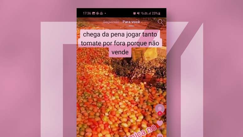 Conteúdo enganoso foi compartilhado no TikTok 