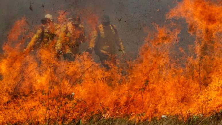 O estudo destaca que o m&ecirc;s de junho foi utilizado para a an&aacute;lise, momento em que o Pantanal j&aacute; enfrentava inc&ecirc;ndios recorde