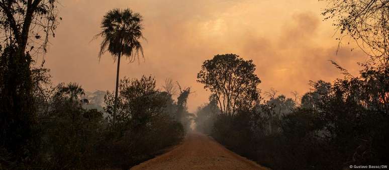 Desmatamento é um dos agravantes para o fogo