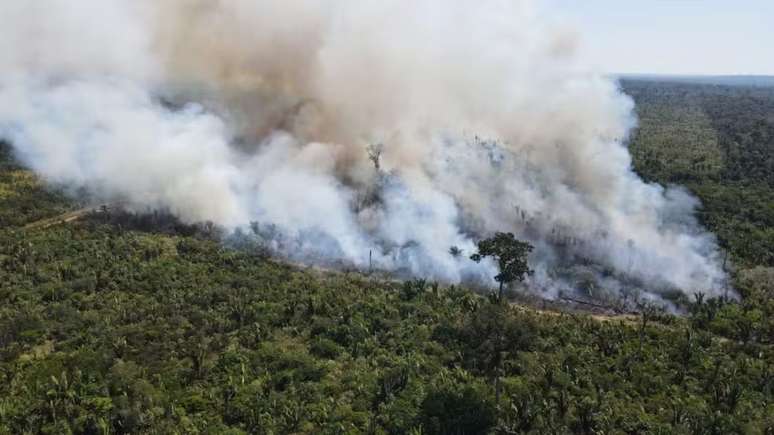 Incêndio no parque Guajará