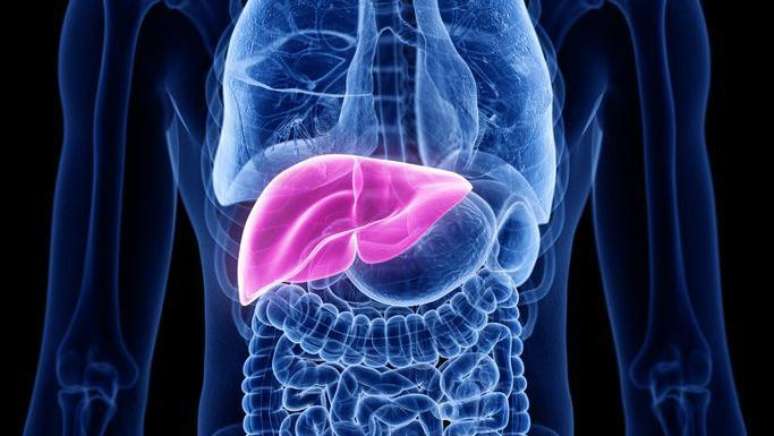 Quando o f&iacute;gado deixa de "filtrar" subst&acirc;ncias t&oacute;xicas, elas podem parar no c&eacute;rebro