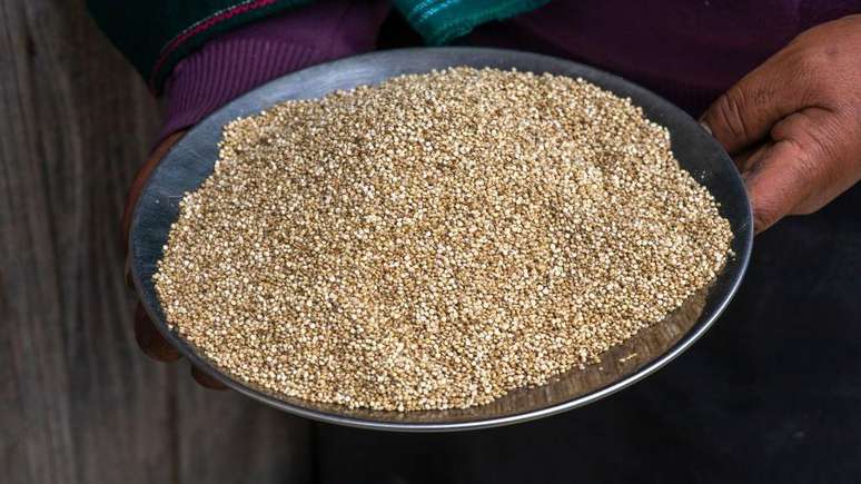 A quinoa era um alimento básico para os incas