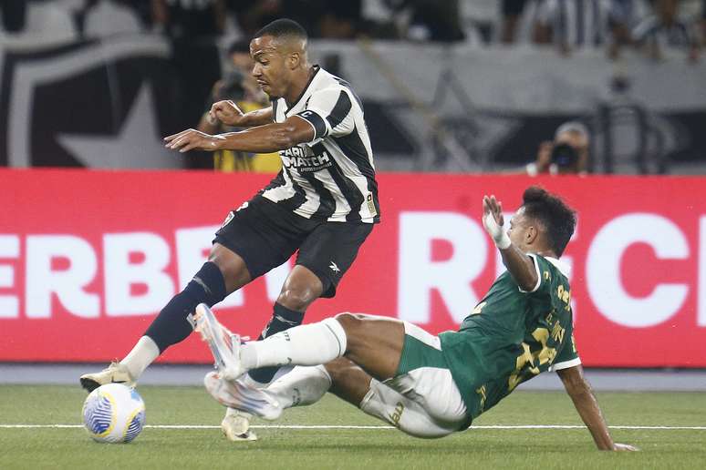 Botafogo e Palmeiras se enfrentam pela Libertadores 