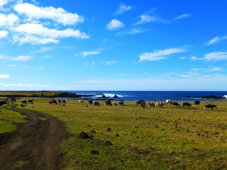 Para além dos moais, destino combina campos bucólicos e o mar no horizonte