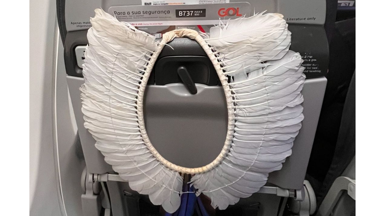 Atleta ind&iacute;gena brasileira teve o cocar apreendido na imigra&ccedil;&atilde;o dos EUA