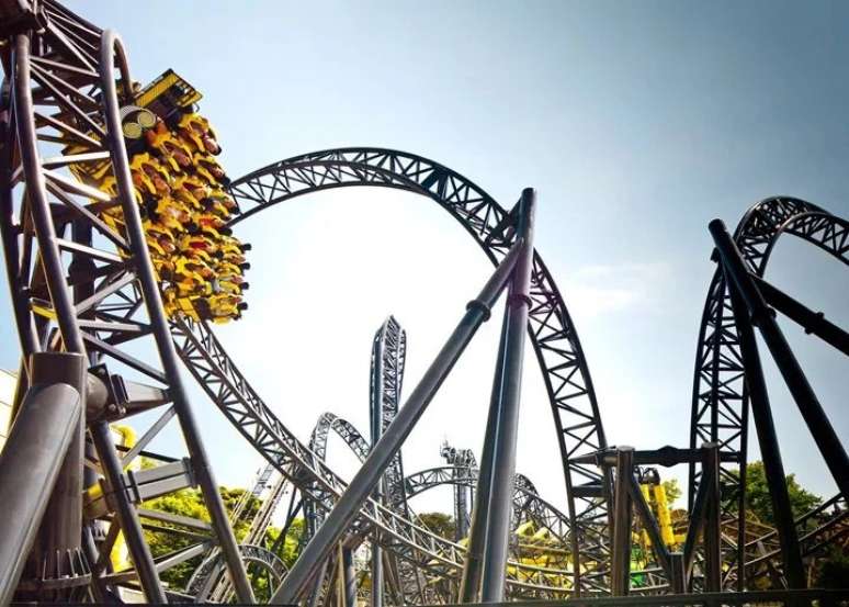 The Smiler 