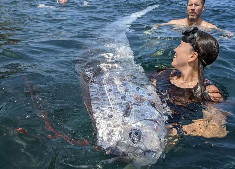 Peixe-remo foi encontrado nos Estados Unidos