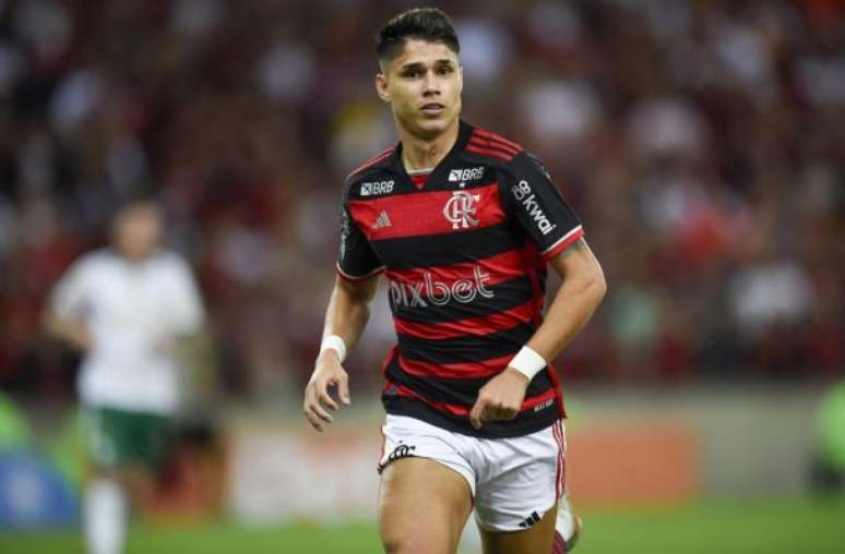 Luiz Araújo em campo pelo Flamengo –