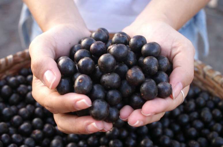 O açaí foi eleito recentemente a sétima melhor fruta do mundo. O fruto amazônico, que vem ganhando cada vez mais popularidade, é rico em antioxidantes, nutrientes e fibras que podem trazer diversos benefícios para a saúde.