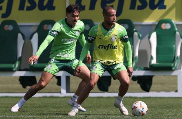 Mayke (à direita) pode ser o reforço caseiro do Palmeiras contra o Botafogo –