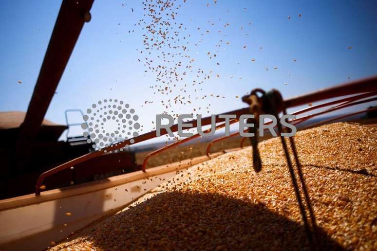 Grãos de milho são carregados em um caminhão após serem colhidos em uma fazenda perto de Brasília, Brasil
22/08/2023
REUTERS/Adriano Machado