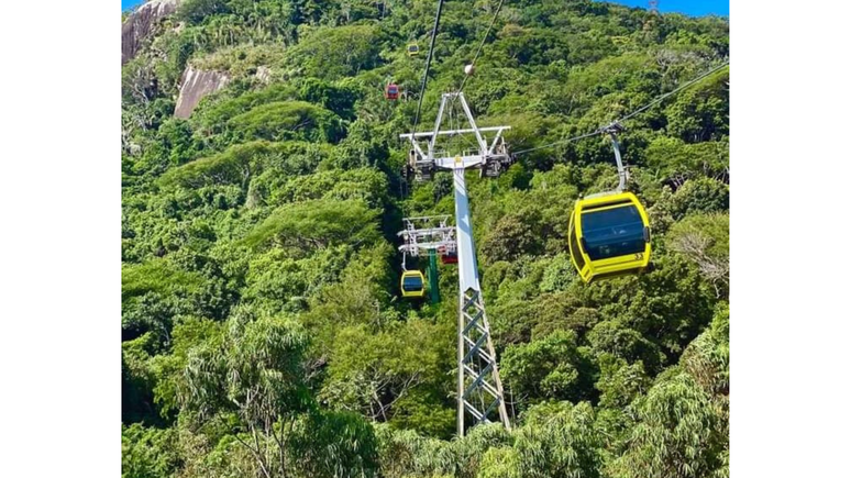 Todos os bondinhos são projetados para garantir o acesso fácil dos visitantes