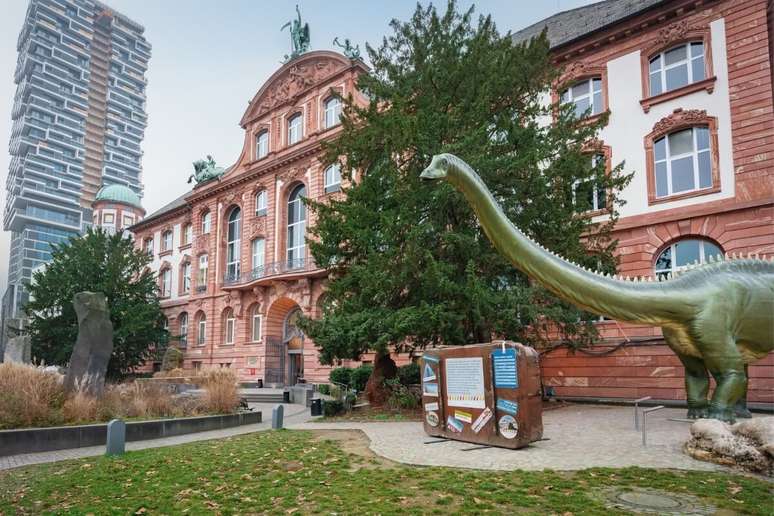 O Museu de Senckenberg tem uma coleção de fósseis, esqueletos de dinossauros e exposições temáticas de fazer inveja 