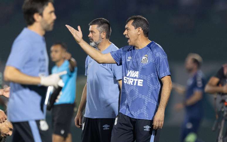 Fábio Carille durante Guarani x Santos