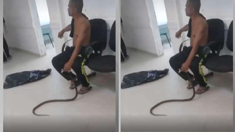 Em um incidente curioso e um tanto inusitado, um homem de 58 anos foi picado por uma cobra enquanto trabalhava em Guarujá