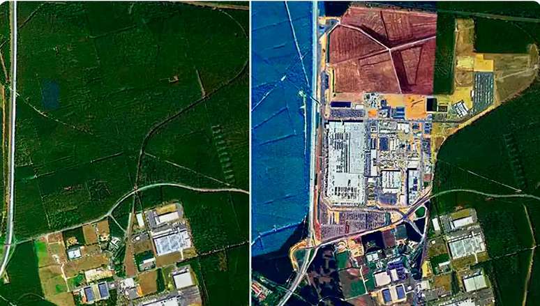 Construção de fábrica da Tesla na Alemanha teria causado derrubada de 500 mil árvores, diz relatório