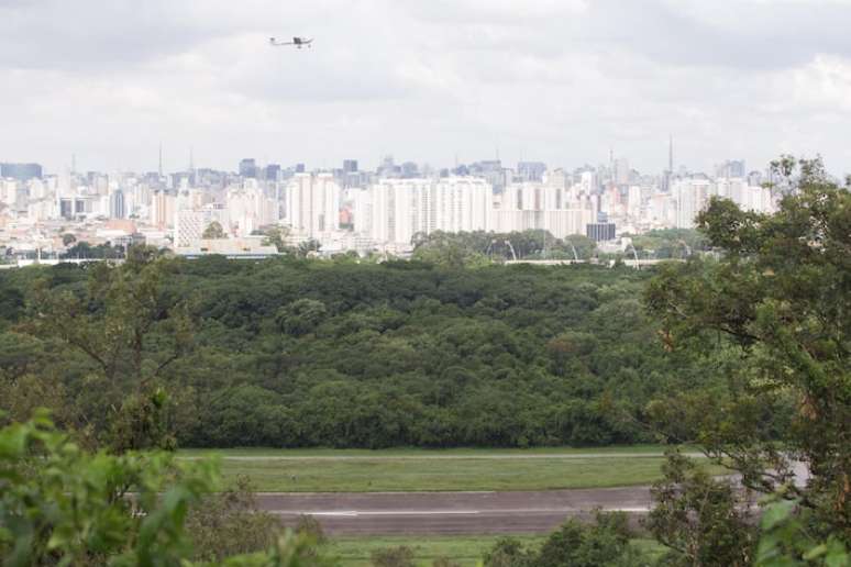 Vista de trecho do Campo de Marte coberto por áreas verdes: novo parque será criado no local.