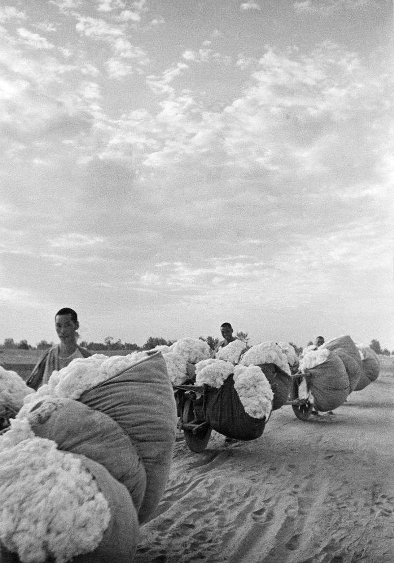 Imagem de 1939 mostrando um grupo de trabalhadores com sacos de algodão desfiado, conhecido como pelusa