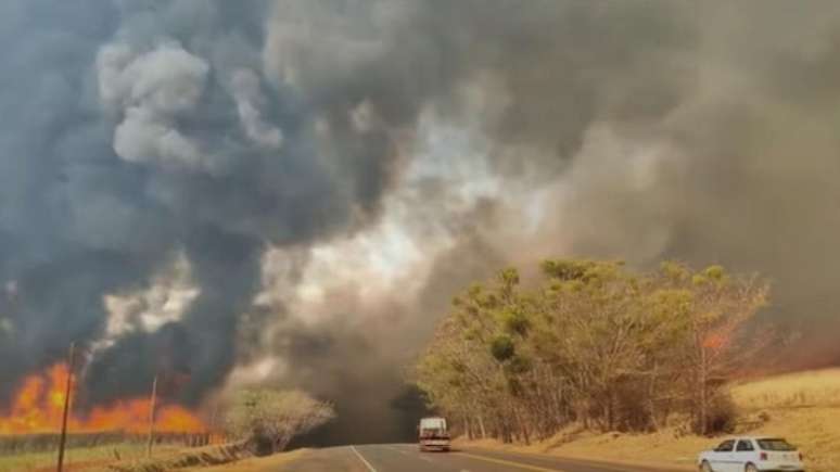 El humo de los incendios en el interior de São Paulo afecta un festival de música en Altinópolis, región de Ribeirão Preto (foto).