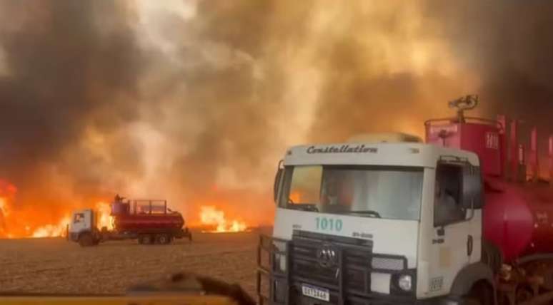 Incêndio em área canavieira