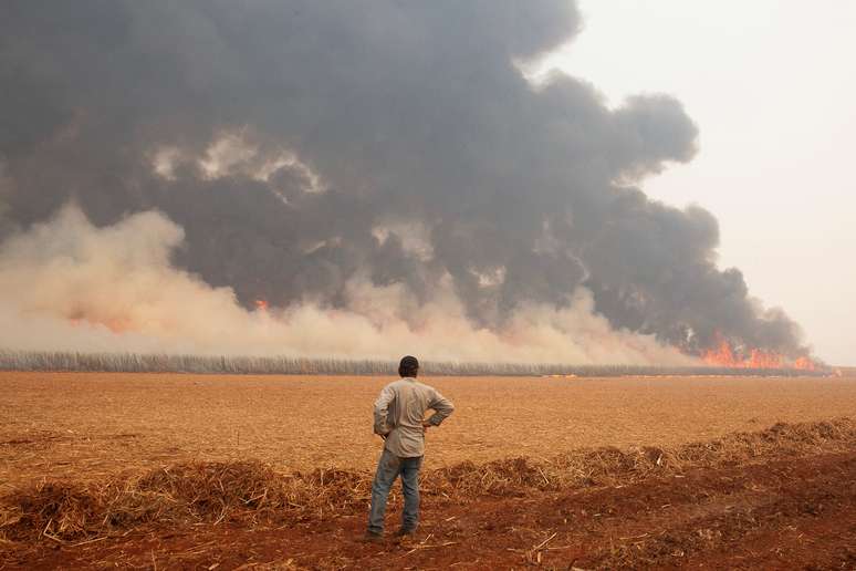 Os incêndios atingiram 20 mil hectares de São Paulo, segundo o governador