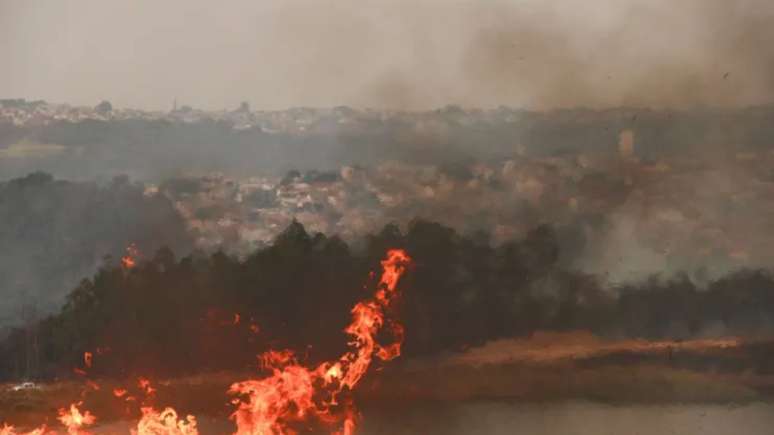 SP prendeu três suspeitos de terem iniciado incêndios ilegais no estado