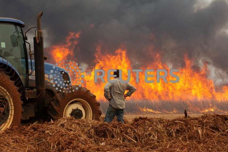 Um homem observa um incêndio em uma plantação de cana-de-açúcar perto da cidade de Dumon, em São Paulo, Brasil
24/08/2024
REUTERS/Joel Silva