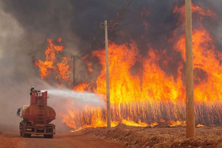 Bombeiros tentam apagar incêndio no município de Dumont (SP) no sábado