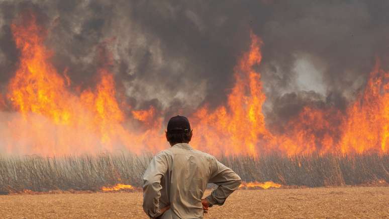 Incêndio em plantação de cana próxima à cidade de Dumont, São Paulo