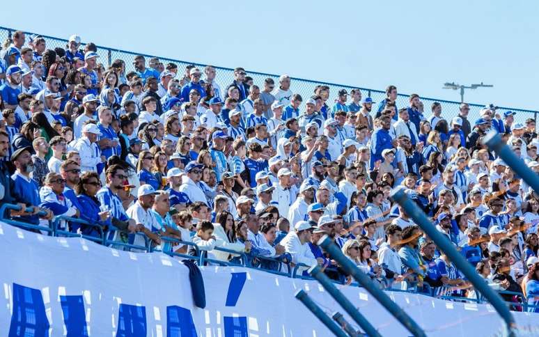 Torcida do Avaí