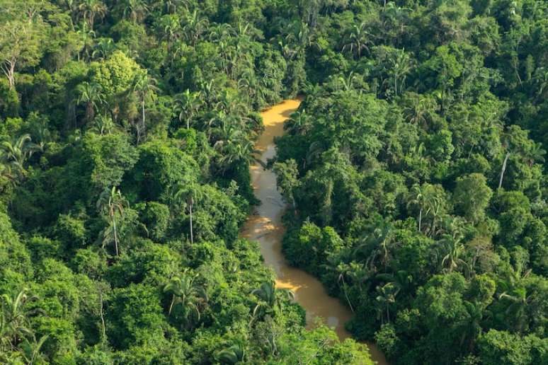 Lideranças do setor empresarial brasileiro divulgaram, nesta quarta-feira, um manifesto denominado “Por um pacto econômico com a natureza”