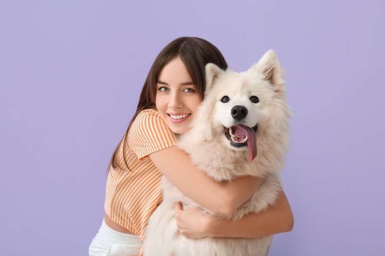 O samoieda é um cachorro amigável e afetuoso