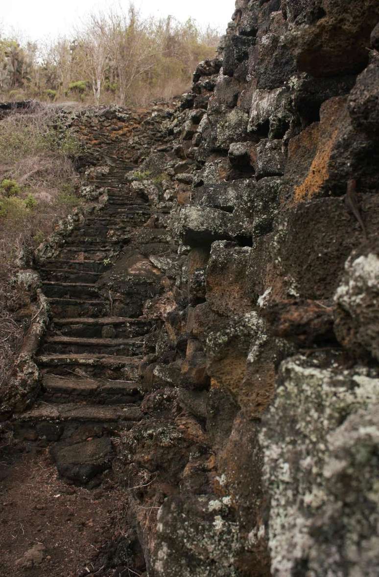 Muro de las Lágrimas 