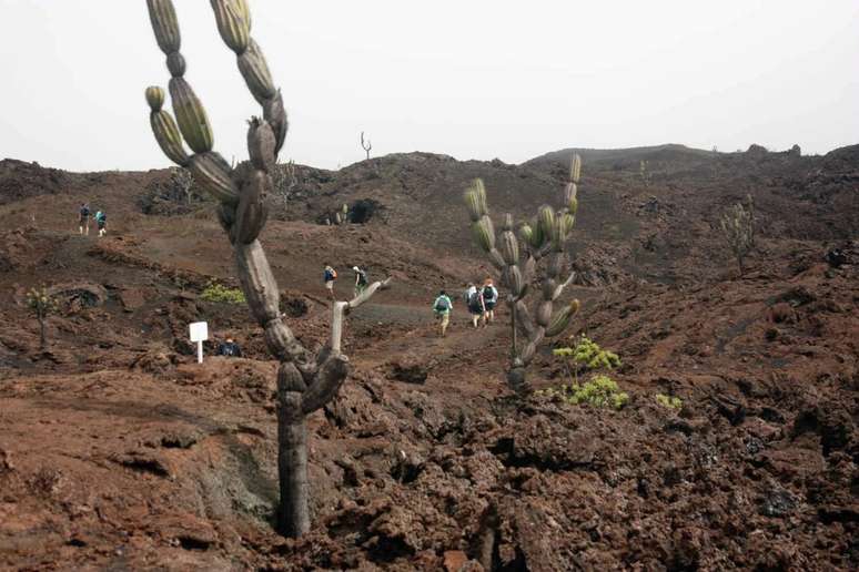 Vulcão Sierra Negra 