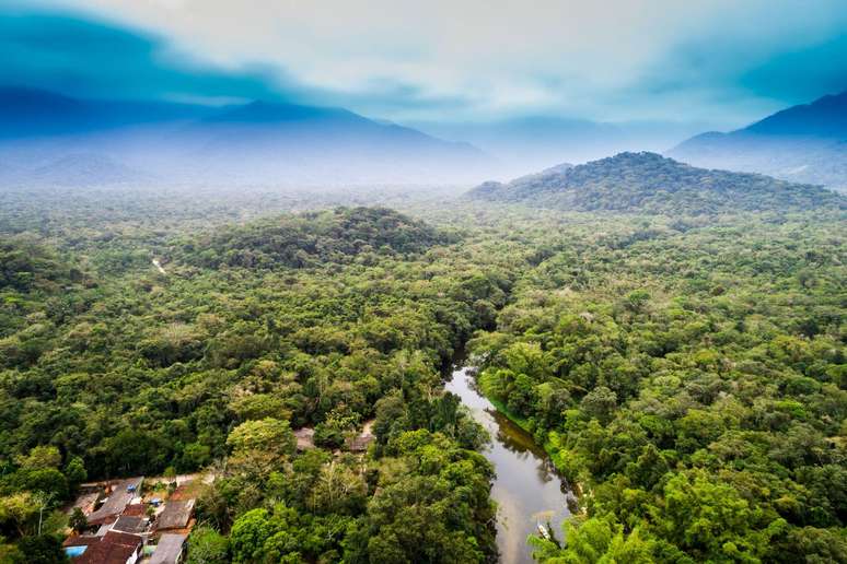 Junto a avanços importantes em comunidades que não tinham internet, expansão da Starlink na Amazônia também impulsiona atividades ilegais, apontam autoridades