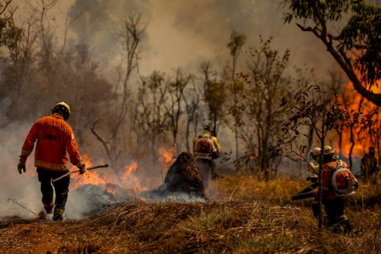 Brigadistas do Instituto Brasília Ambiental e Bombeiros do Distrito Federal combatem incêndio em área de cerrado próxima ao aeroporto de Brasília.