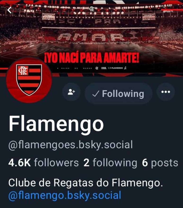 Flamengo abriu a sua conta na Bluesky e já começou a fazer postagens –