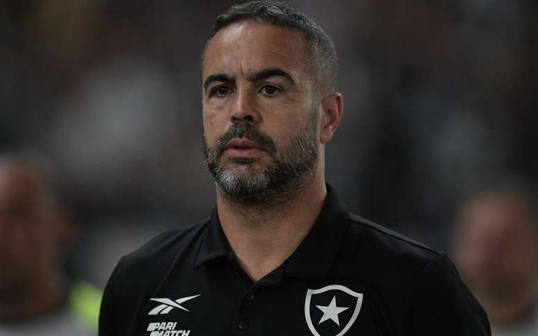 Botafogo está de volta a liderança do Brasileirão