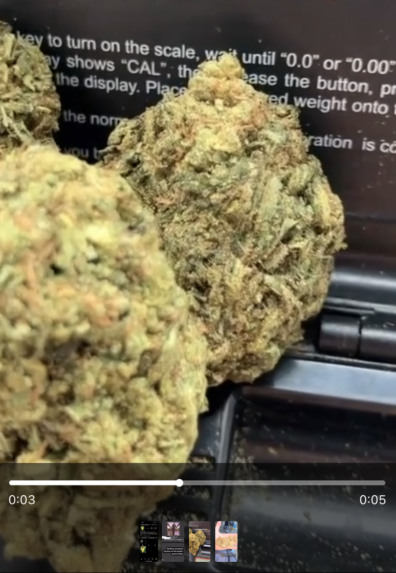 Grupo Drugs Gardens Official (9.119 membros) Vende bolinhos de maconha, cookies de maconha e vaporizadores ilegais. V&iacute;deos e imagens dos produtos e avalia&ccedil;&otilde;es de clientes s&atilde;o compartilhados regularmente.