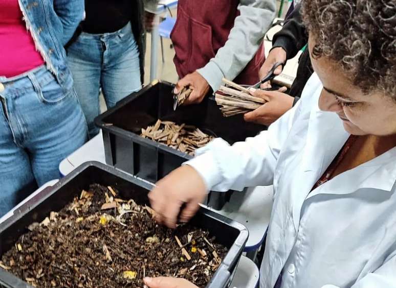 Professora conduziu projeto vencedor do prêmio Ciência para Todos