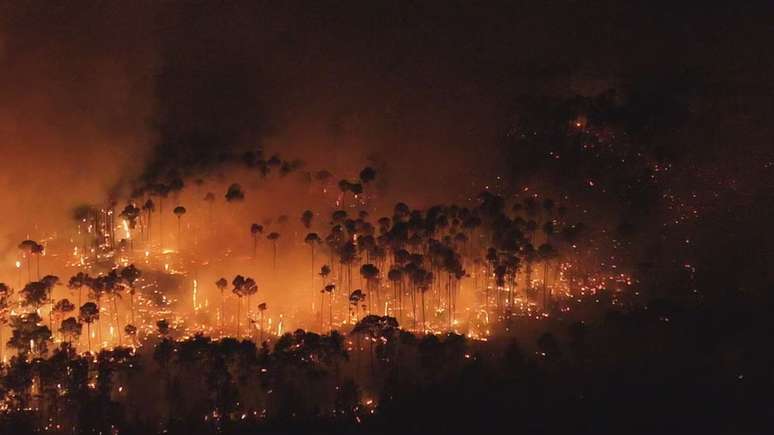 Fogo atinge a Floresta Nacional de Brasília (DF)