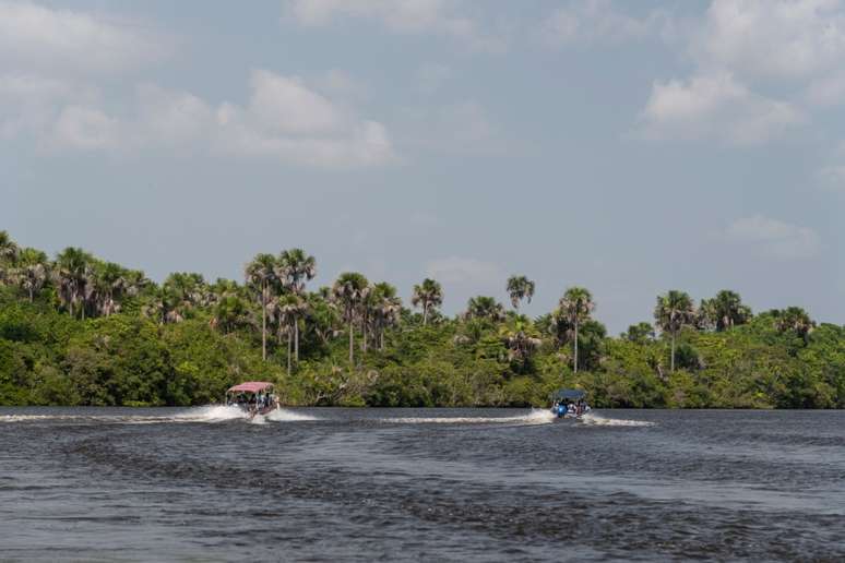 O passeio de barco pelo Rio Pregui&ccedil;as revela comunidades tradicionais, pontos tur&iacute;sticos e rica fauna e flora 