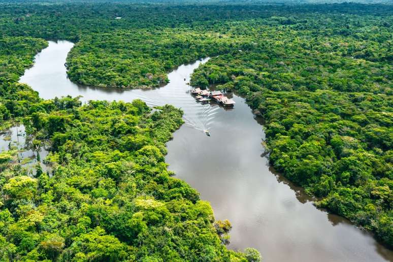 O dia da Amazônia chama a atenção para o cuidado com o meio ambiente