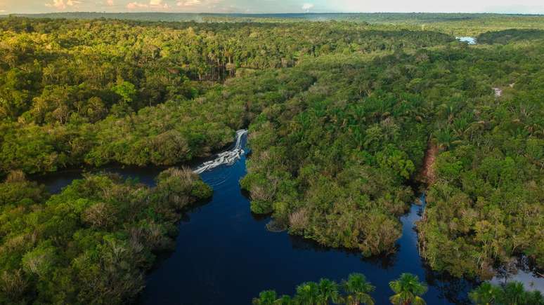 9 em cada 10 terras indígenas da Amazônia enfrentam seca