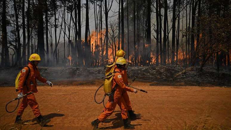 Presença duradoura de massa de ar quente favorece tempo seco e aumenta risco de queimadas no Brasil