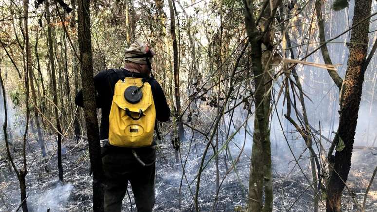 Governo de SP reforçou as equipes de brigadistas para o combate a incêndios florestais